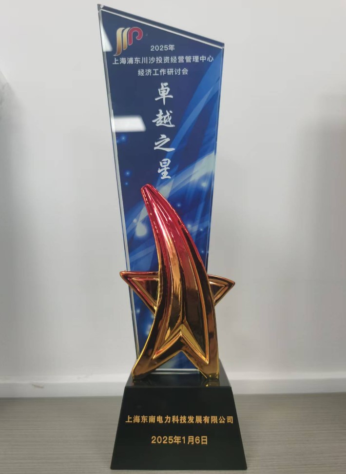 Star of Excellence Award