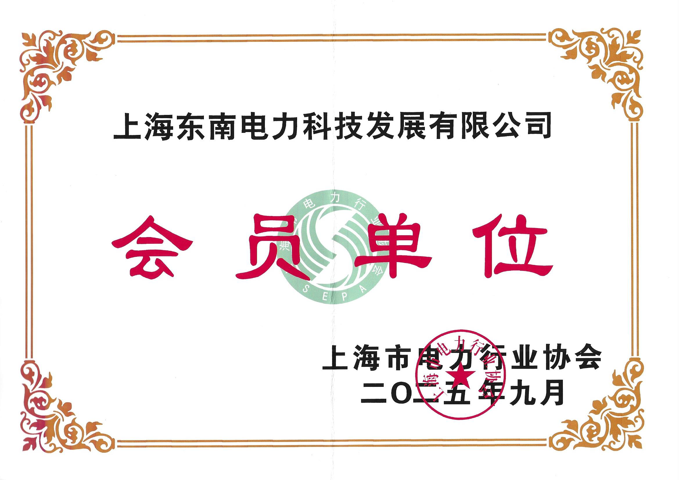 Power Industry Association Member 2025